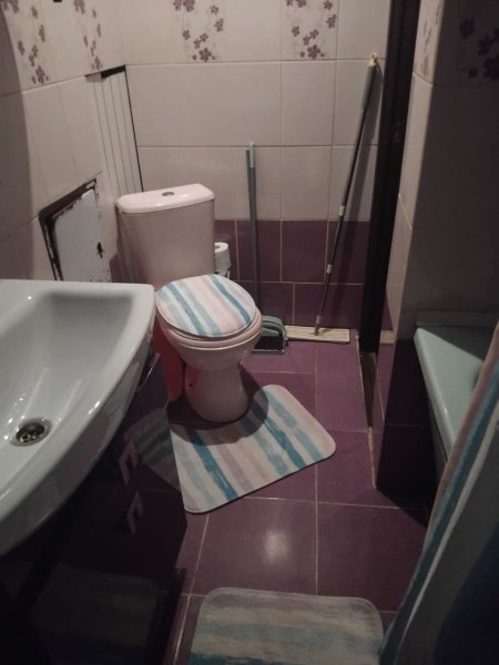 красота